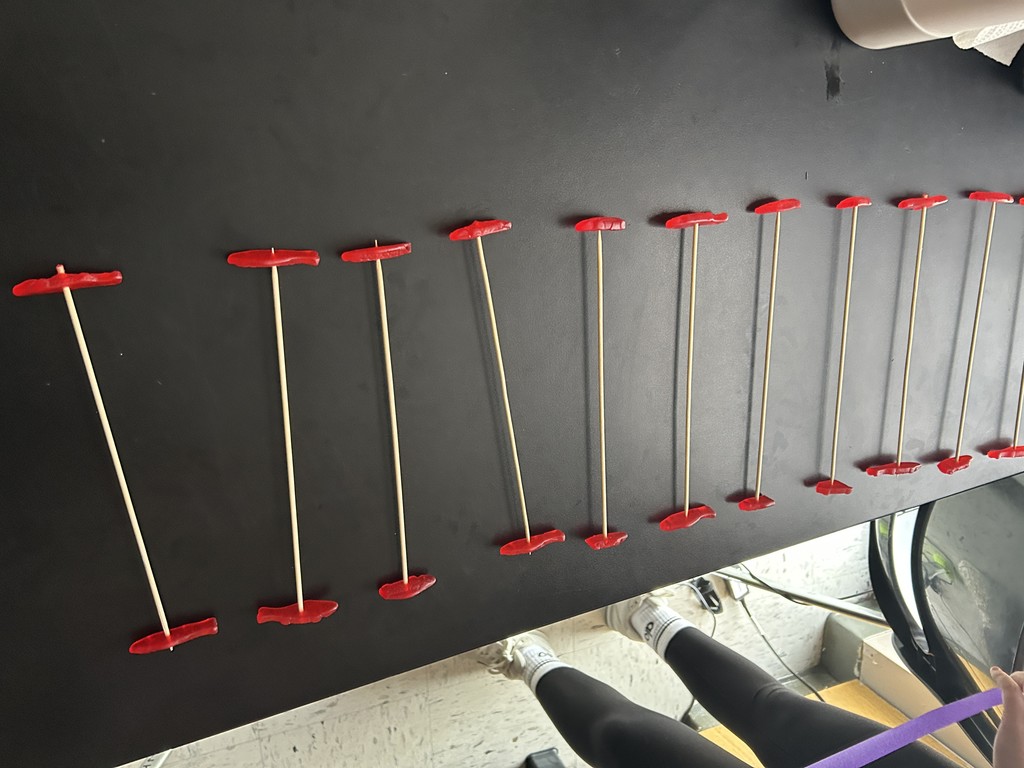 HSPS WAVES IN ACTION