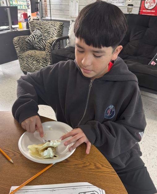 ALL THE WORLD ACTIVITIES