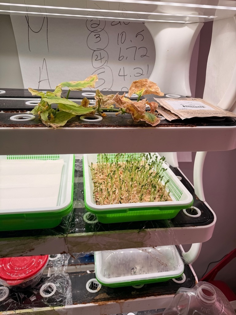 junior high students learning about growing plants.