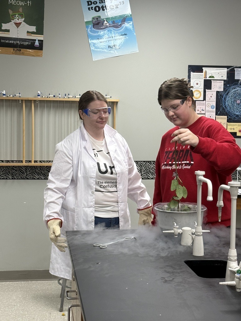 High school students in science class