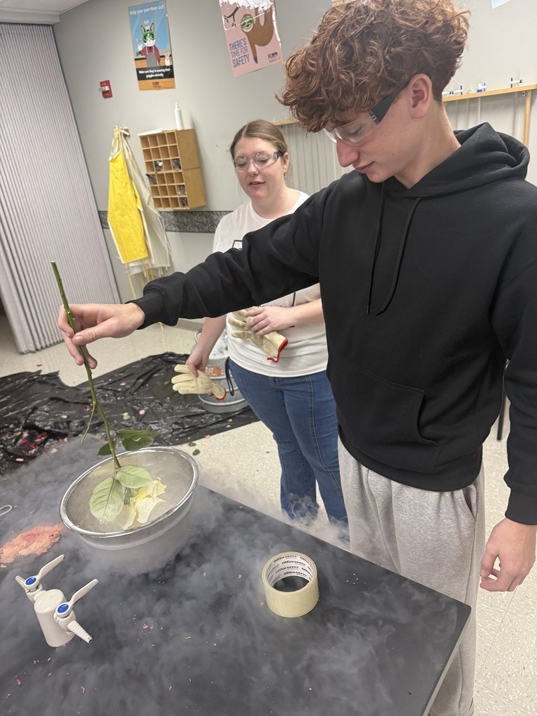 High school students in science class