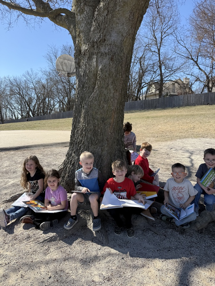 students reading in sunshine