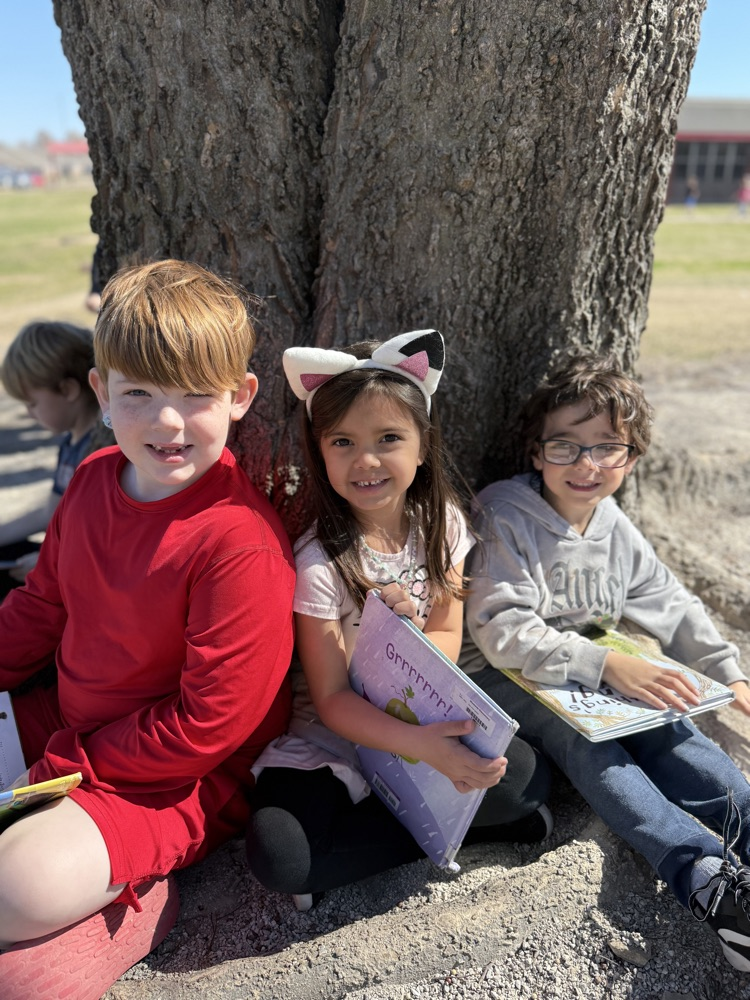 students reading in sunshine