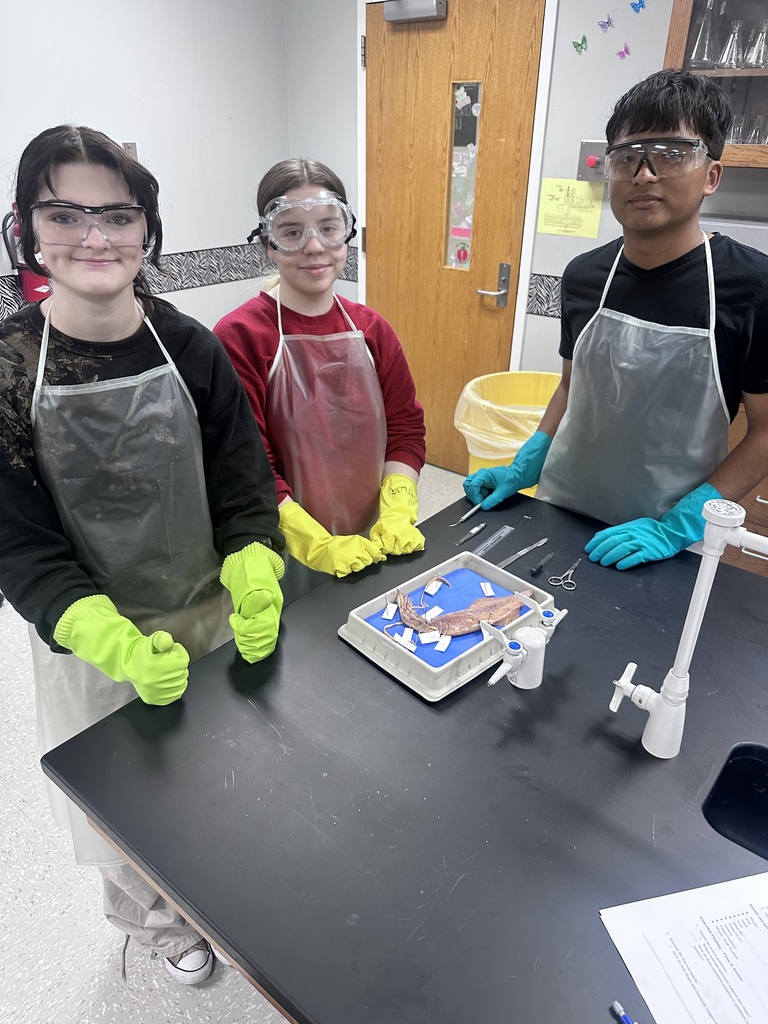 Our Zoology students recently wrapped up their Cephalopoda unit by completing their squid dissections! 🦑🔬  Students explored squid anatomy up close, identifying the different parts and learning how these fascinating creatures function. From locating organs to telling the difference between arms and tentacles—let’s just say students definitely had their hands full with this lab!  Hands-on learning like this helps bring science to life and gives students a deeper understanding of the amazing world of marine biology.