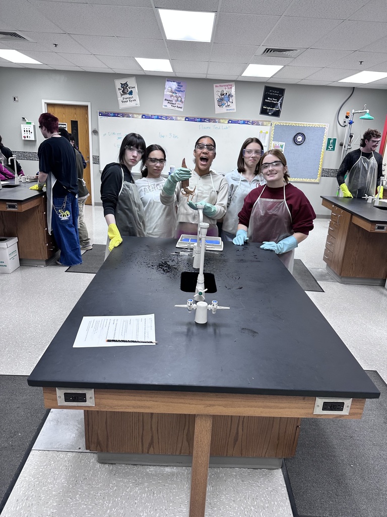 Our Zoology students recently wrapped up their Cephalopoda unit by completing their squid dissections! 🦑🔬  Students explored squid anatomy up close, identifying the different parts and learning how these fascinating creatures function. From locating organs to telling the difference between arms and tentacles—let’s just say students definitely had their hands full with this lab!  Hands-on learning like this helps bring science to life and gives students a deeper understanding of the amazing world of marine biology.