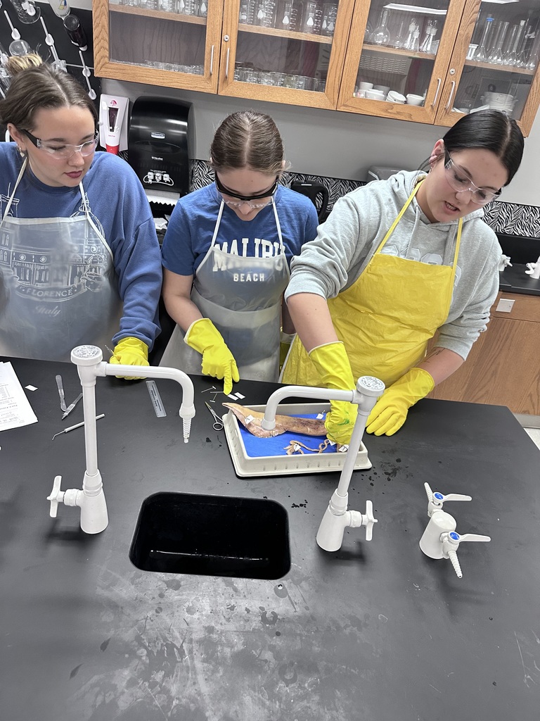 Our Zoology students recently wrapped up their Cephalopoda unit by completing their squid dissections! 🦑🔬  Students explored squid anatomy up close, identifying the different parts and learning how these fascinating creatures function. From locating organs to telling the difference between arms and tentacles—let’s just say students definitely had their hands full with this lab!  Hands-on learning like this helps bring science to life and gives students a deeper understanding of the amazing world of marine biology.