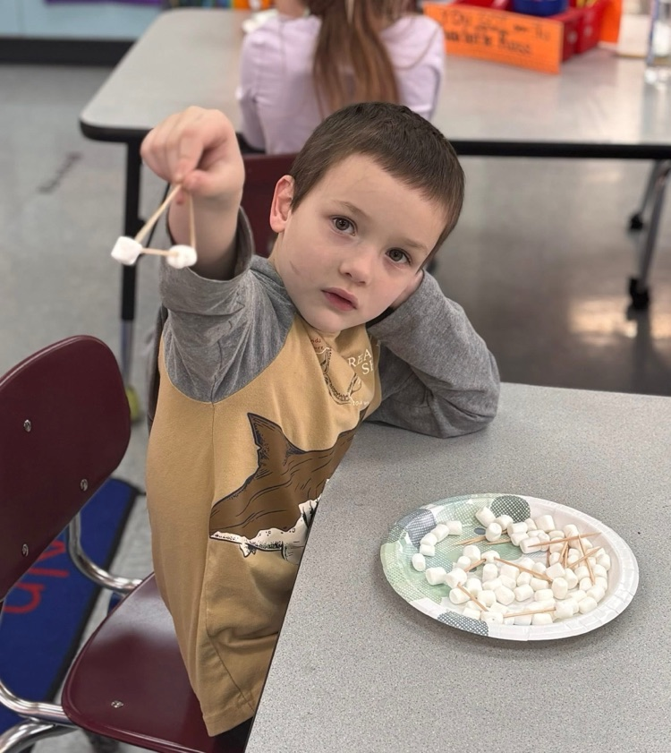 students building shapes 