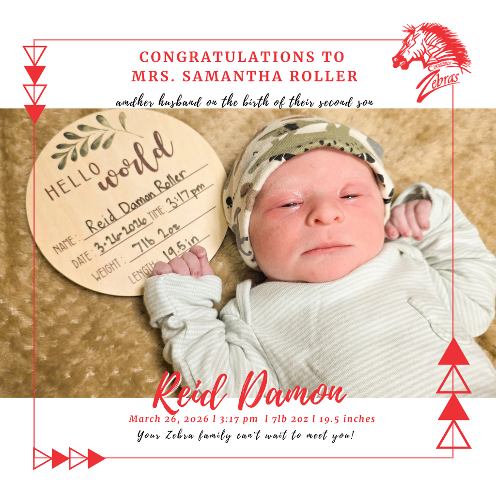 baby swaddled in bassinet 