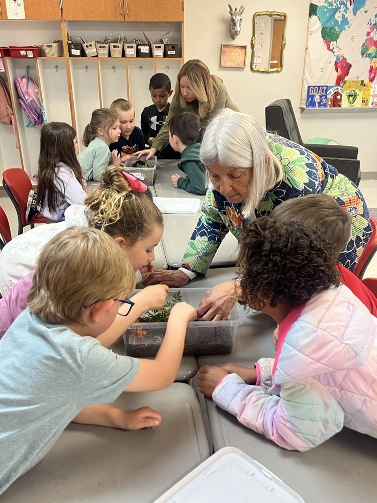 elementary students learning about gardening.