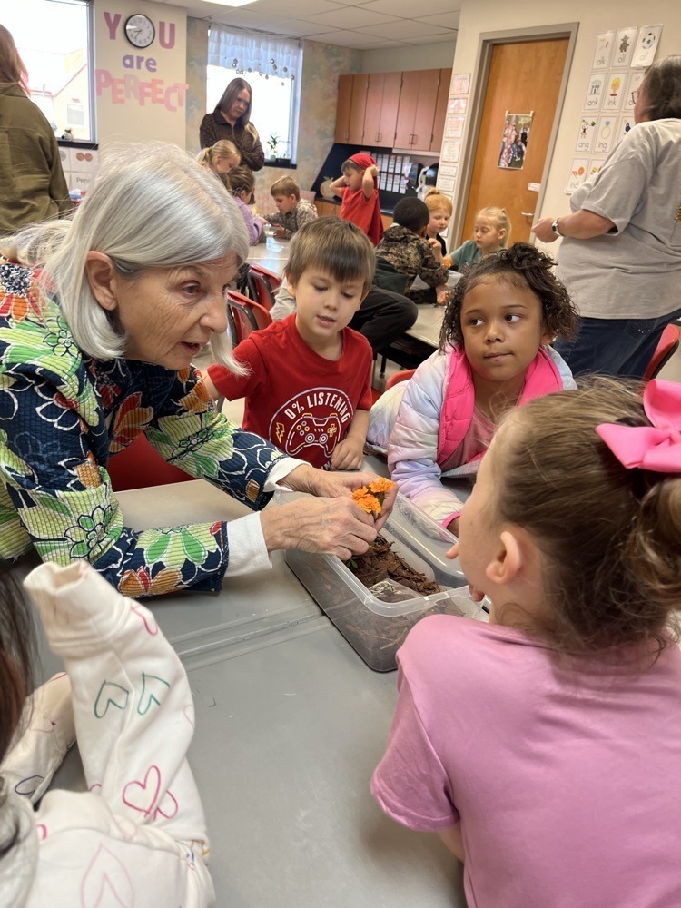 elementary students learning about gardening.