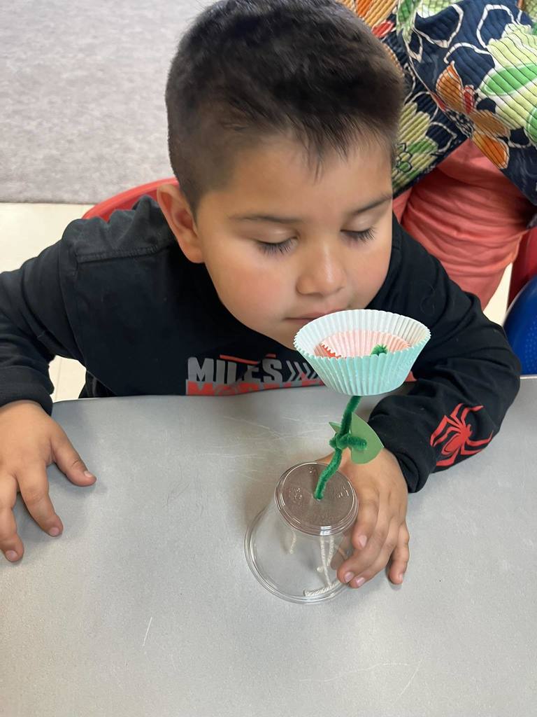 elementary students learning about gardening.