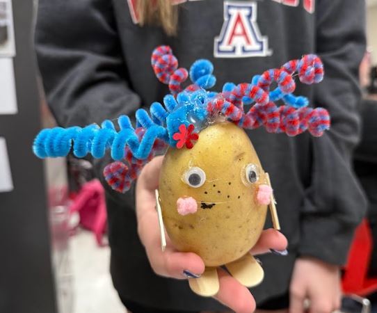 POTATO BABIES