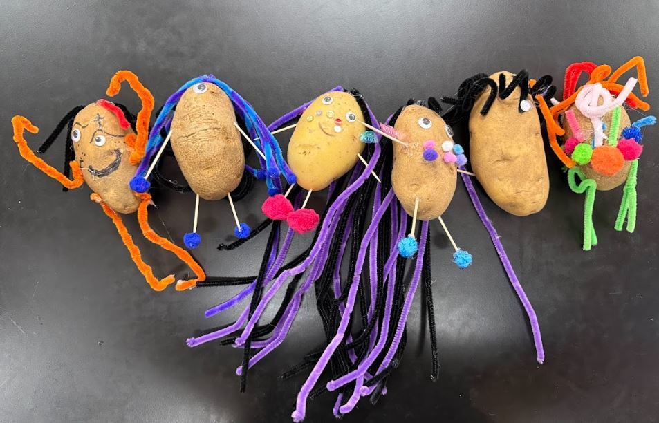 POTATO BABIES