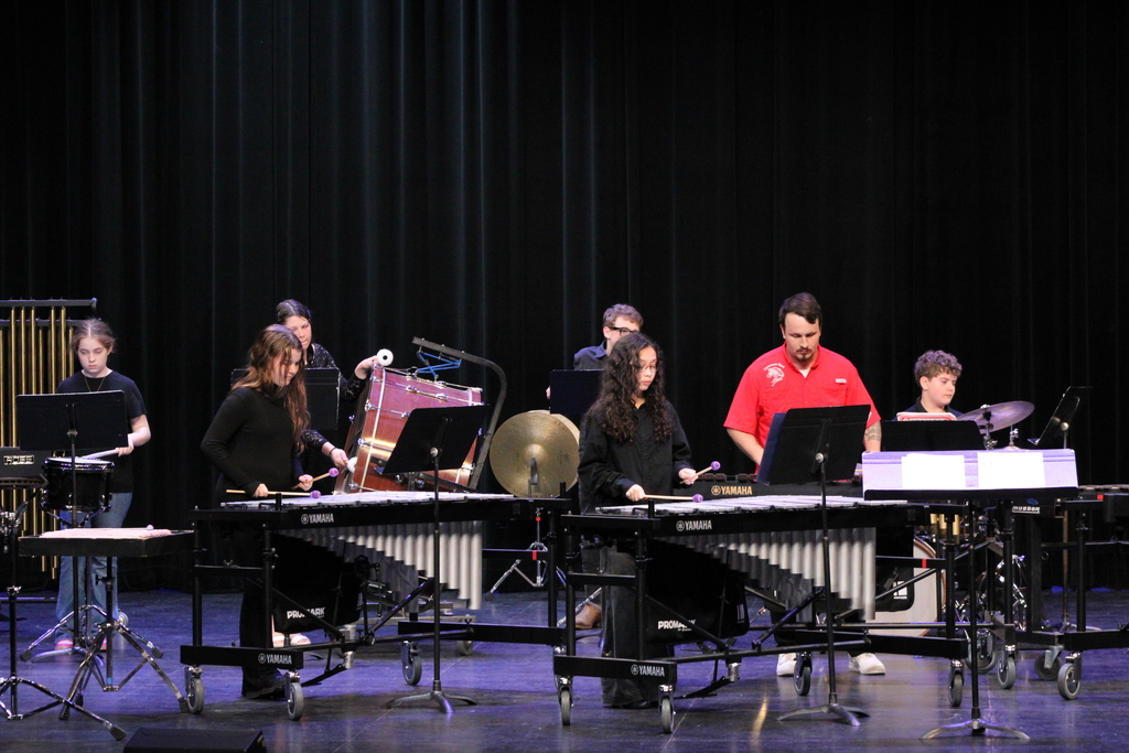 WRJH 7th and 8th graders performing a song at the concert,