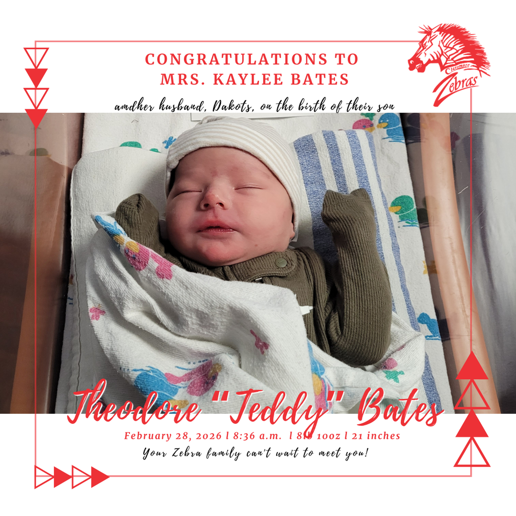 baby swaddled in bassinet