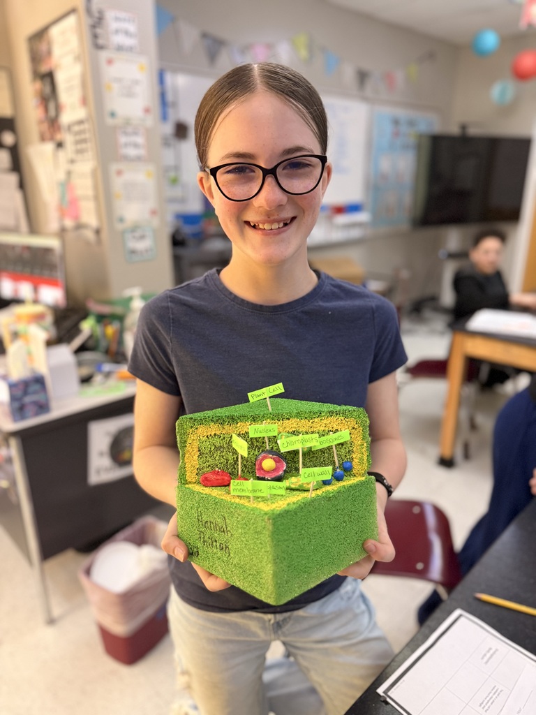 CELL PROJECTS