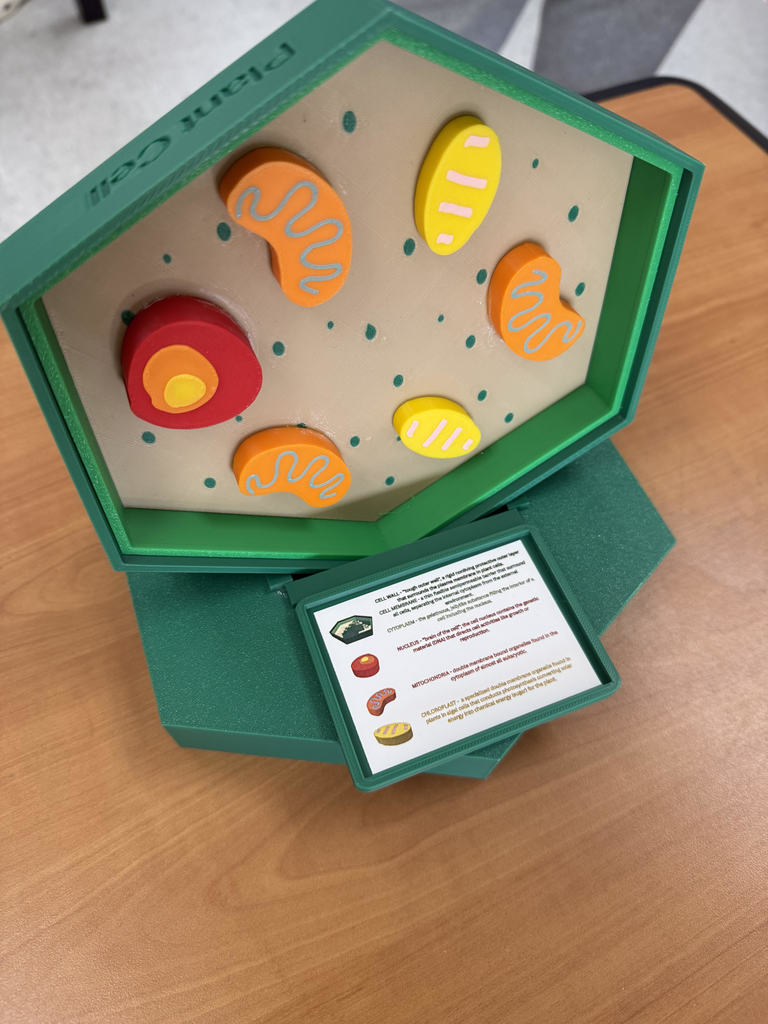 CELL PROJECTS