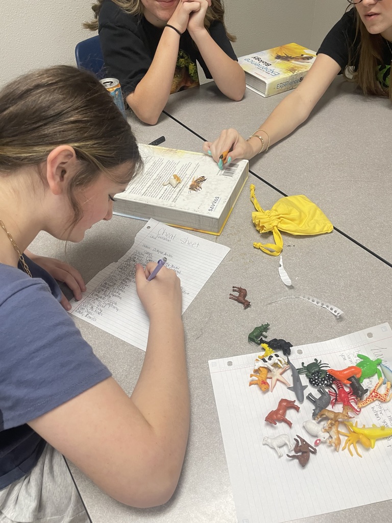 Coach McQueen’s Biology students wrapped up their biomes unit by diving into how plants and animals adapt to survive in their environments. 🌎🌿  To bring their learning to life, students created their own “newly discovered” species from a never-before-explored island and designed dichotomous keys to classify them using unique features. 🧬  Hands-on, creative, and scientific thinking at its best—great work, everyone!