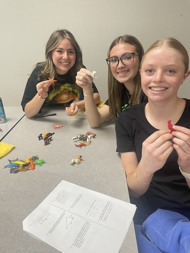 Coach McQueen’s Biology students wrapped up their biomes unit by diving into how plants and animals adapt to survive in their environments. 🌎🌿  To bring their learning to life, students created their own “newly discovered” species from a never-before-explored island and designed dichotomous keys to classify them using unique features. 🧬  Hands-on, creative, and scientific thinking at its best—great work, everyone!