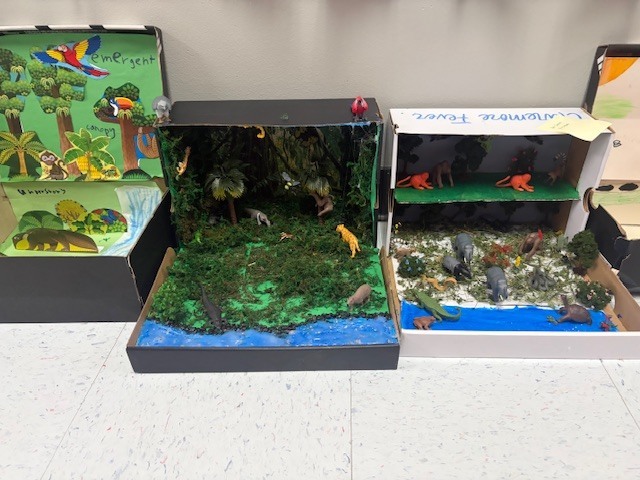Rainforest Diorama 