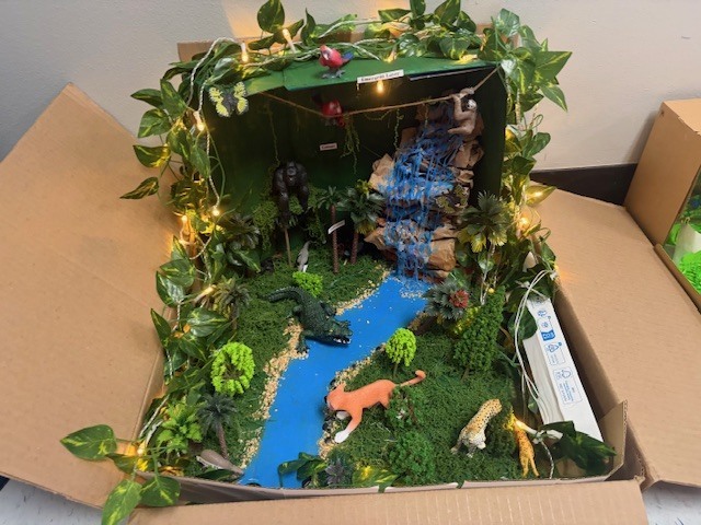 Rainforest Diorama 