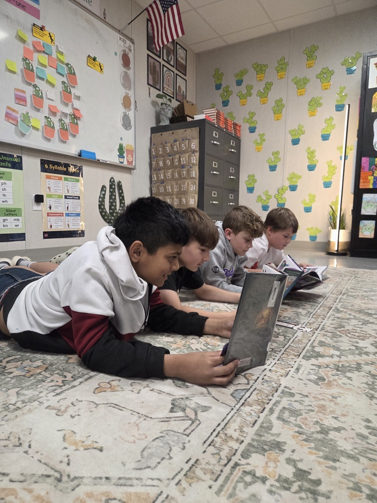 drop everything and read