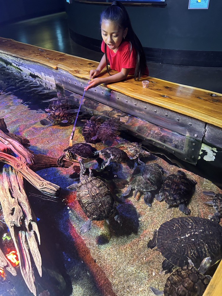 students at aquarium 
