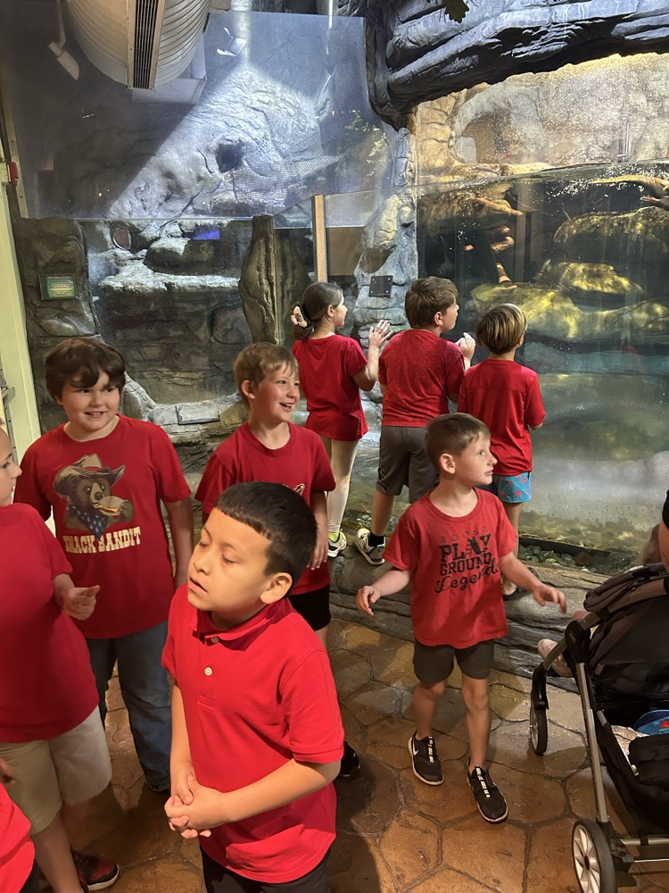 students at aquarium 
