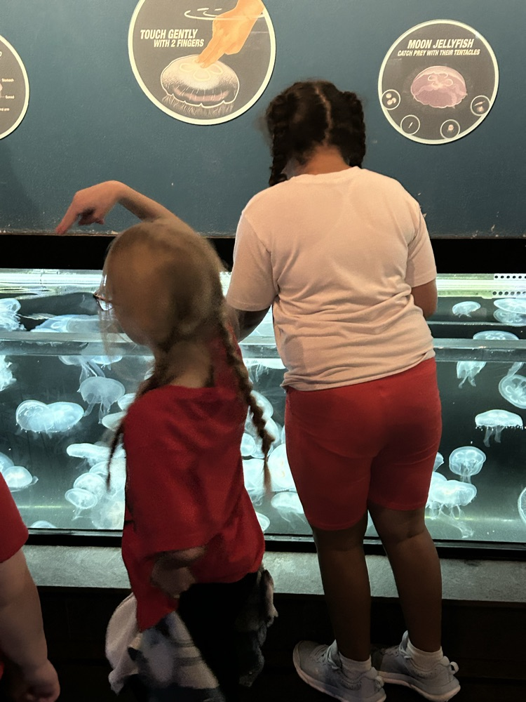 students at interactive jellyfish 