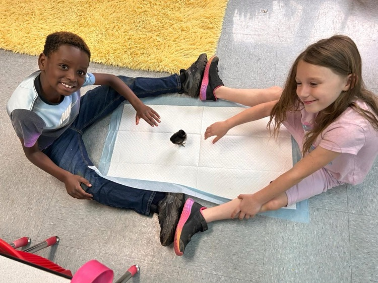 students playing with chick 