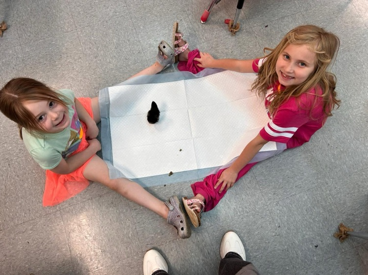 students playing with chick 