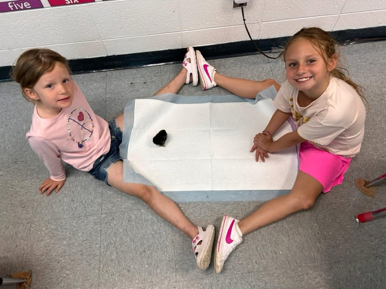 students playing with chick 