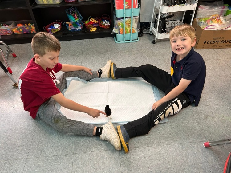 students playing with chick 