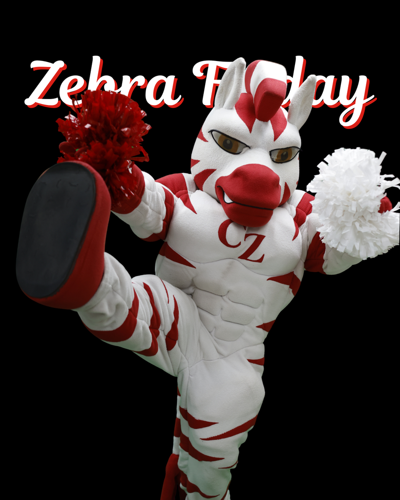 zebras in a cheer stance