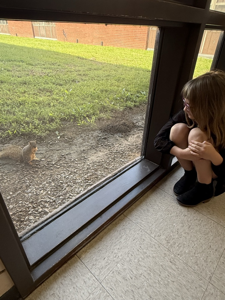 squirrel and student