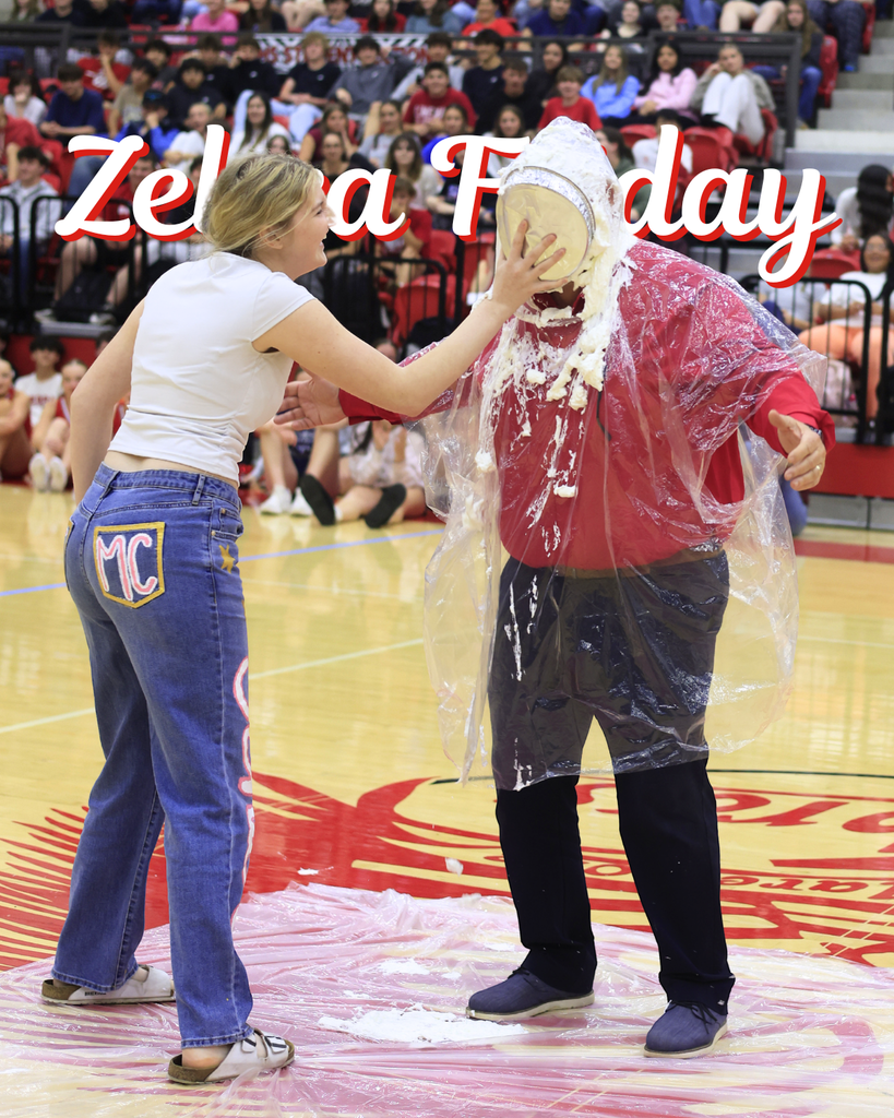 person getting a pie in the facce