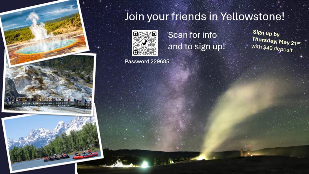 YELLOWSTONE TRIP INFORMATION 