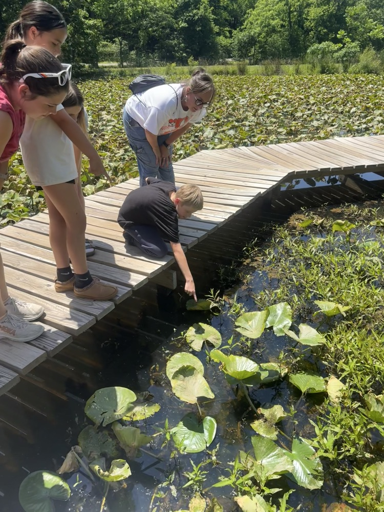 students at nature reserve 