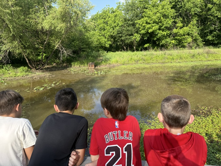 students looking in water 