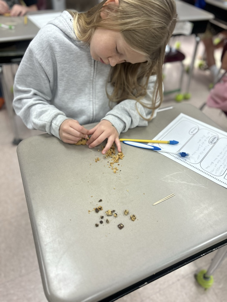 digging for fossils 