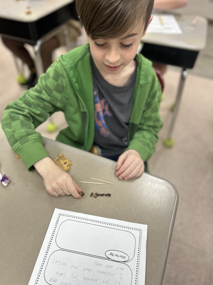 digging for fossils 