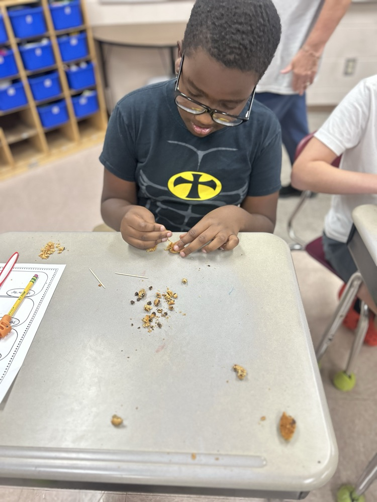 digging for fossils 