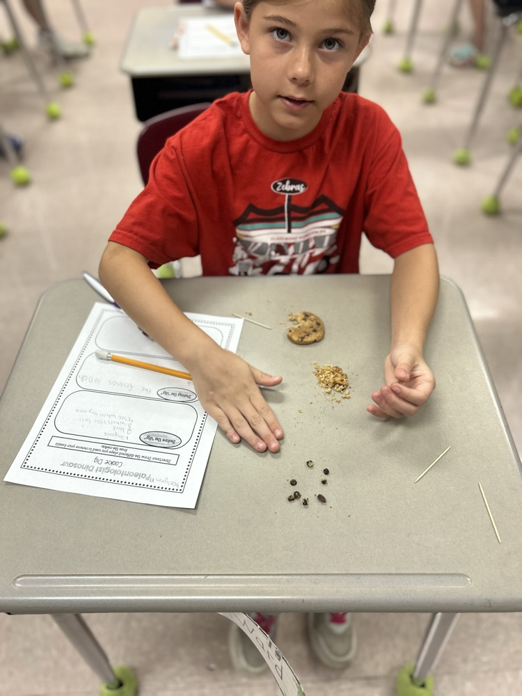 digging for fossils 