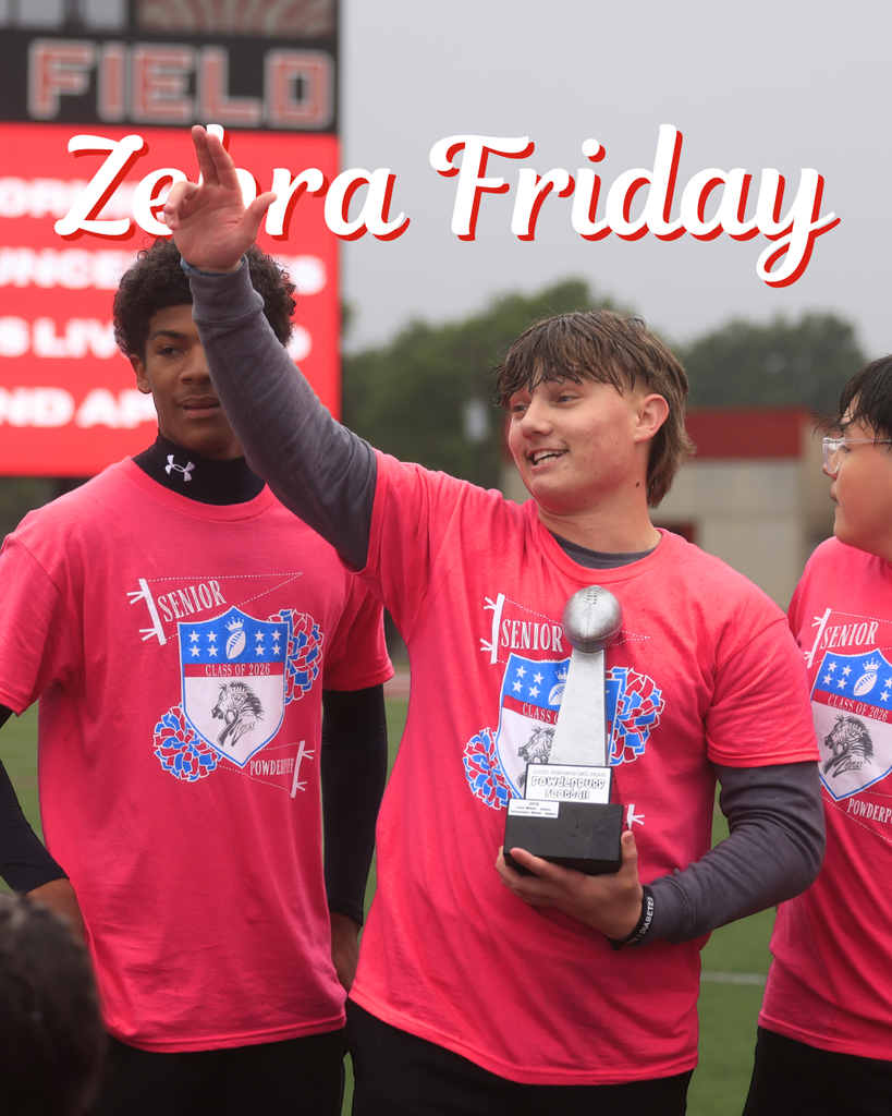 powderpuff coach