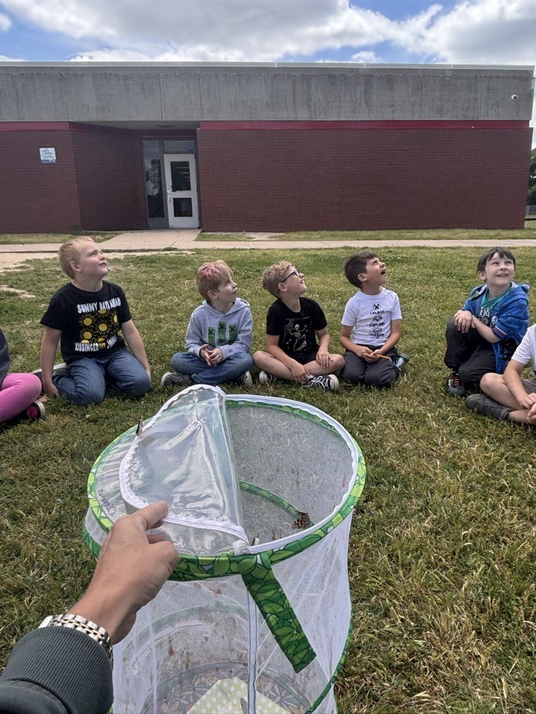 Elementary students releasing butterflies into nature.
