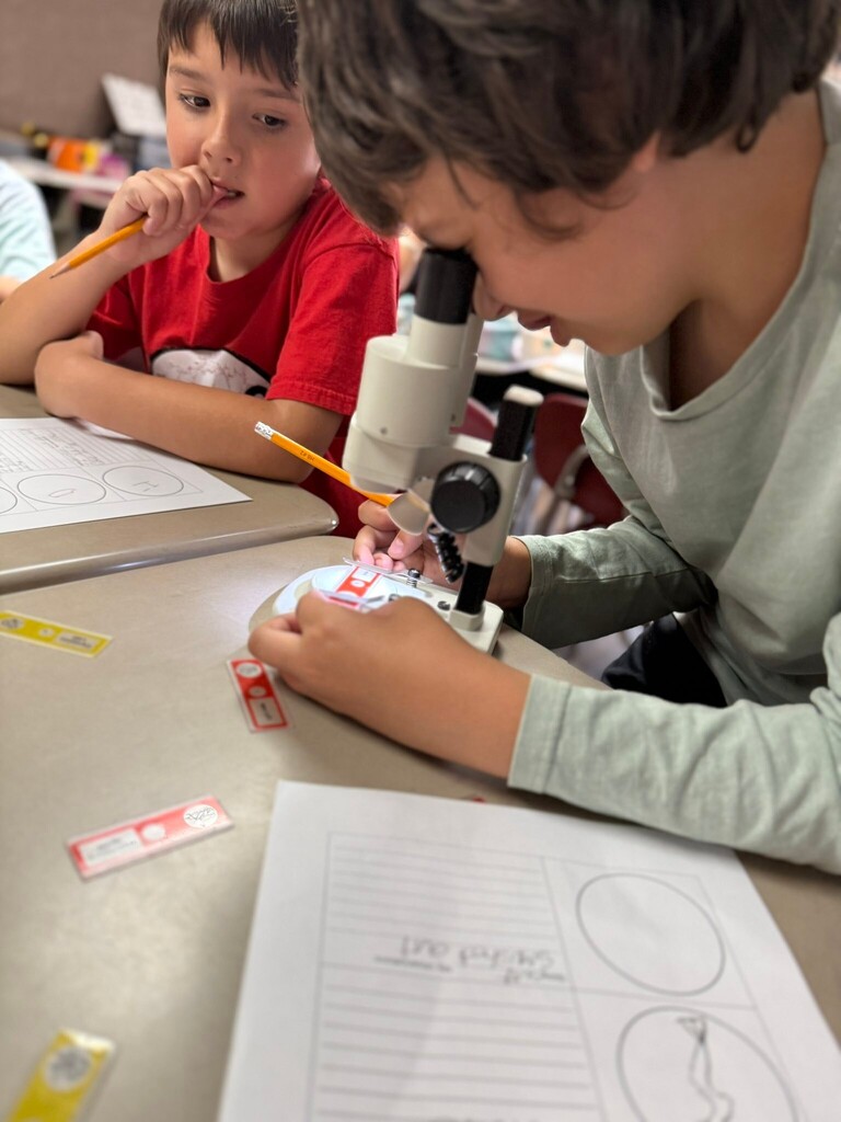 student using a microscope