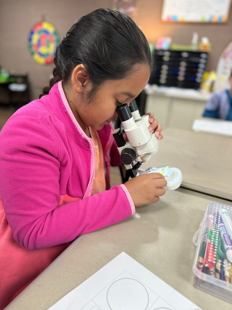 student using a microscope