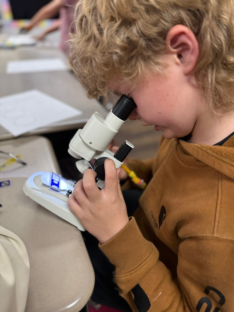student using a microscope