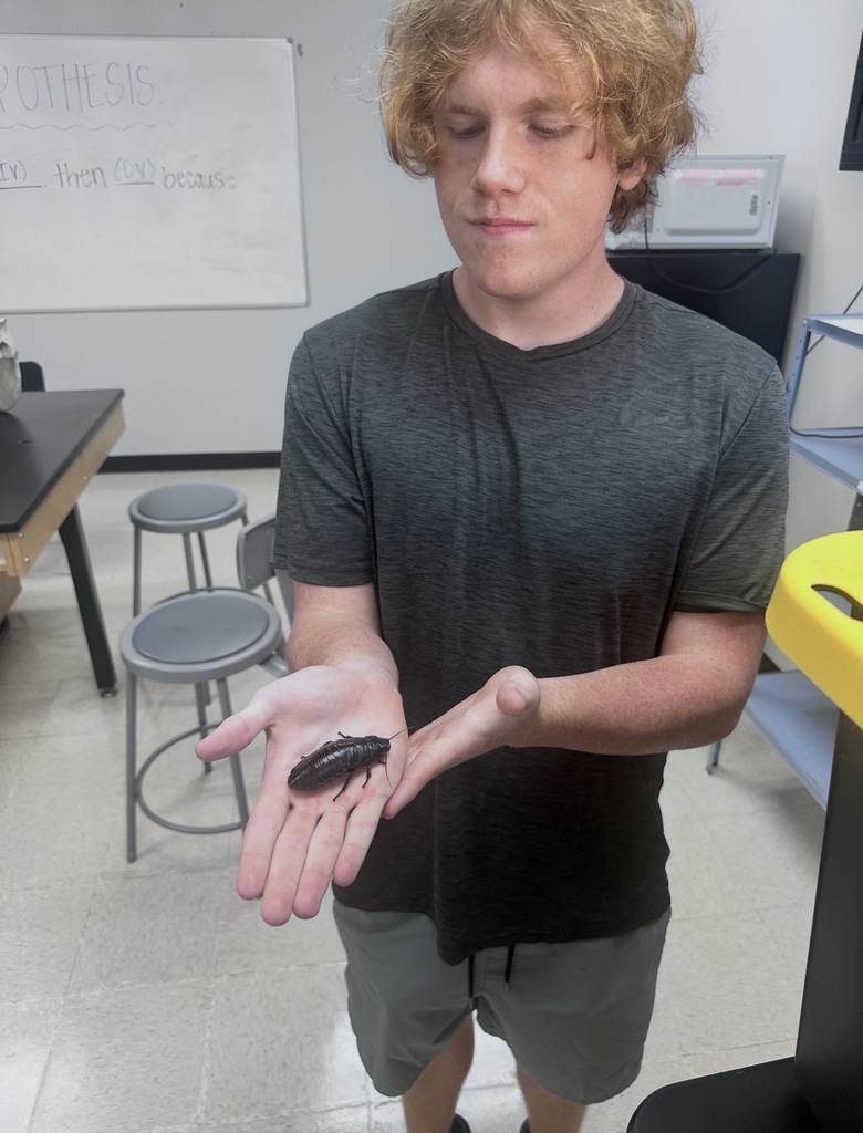 🦎🐾 Hands-on learning in Zoology! 🐍🦋  Our Zoology students had the unique opportunity to learn from Mr. Gibbs with the Rogers State Nature Reserve through an engaging, hands-on experience connected to topics studied in class. Students explored the characteristics of mammals, amphibians, and arthropods while getting an up-close look at these fascinating animal groups.  Experiences like these help bring science to life and deepen student understanding through real-world learning. Thank you to Mr. Gibbs and Rogers State Nature Reserve for sharing this incredible experience with our students! 👏🔬🐾