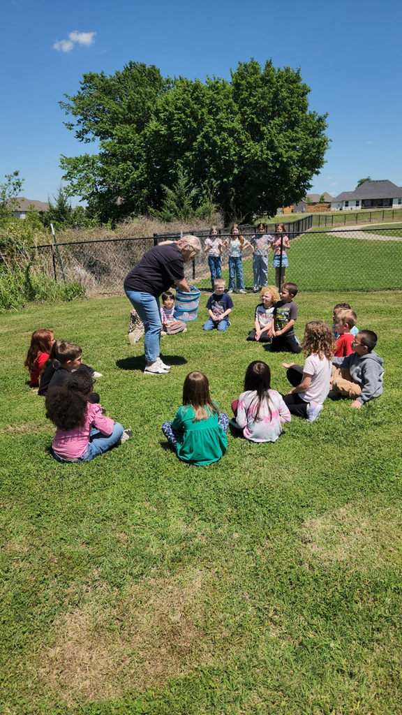 releasing butterflies